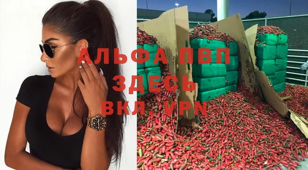 альфа пвп Бородино