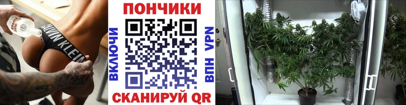 Канабис конопля Тольятти